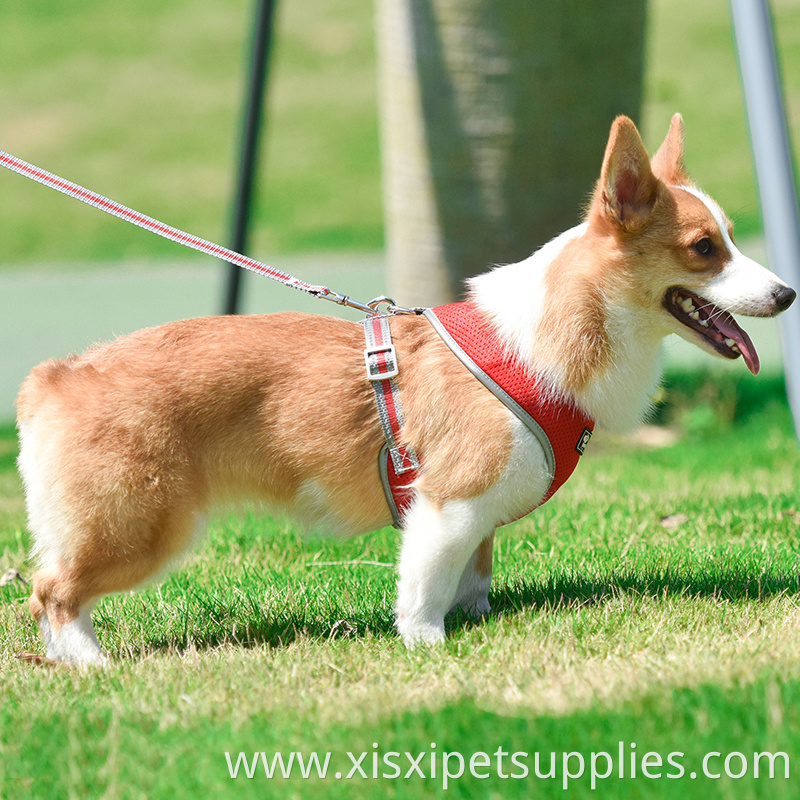 Enhanced Strength Best Front Range Pet Harness Large Dog Chest Belt